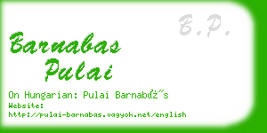 barnabas pulai business card